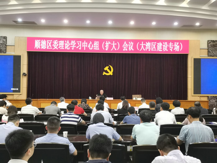 杨新洪：大湾区战略下，顺德企业大有作为