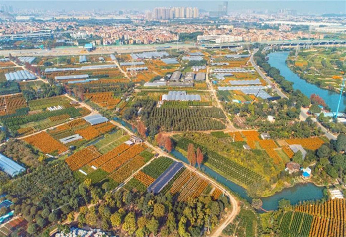 网红打卡点，陈村花卉旅游文化节即将来袭