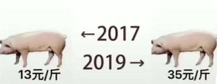 旧时太公分猪肉，真系人人有份？你被骗了......