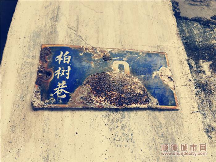 时光穿梭，重回柏树巷，一切恍如昨日