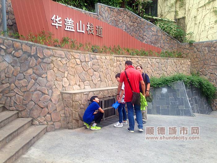 顺德有防空洞？70岁挖洞老人讲起当年事……
