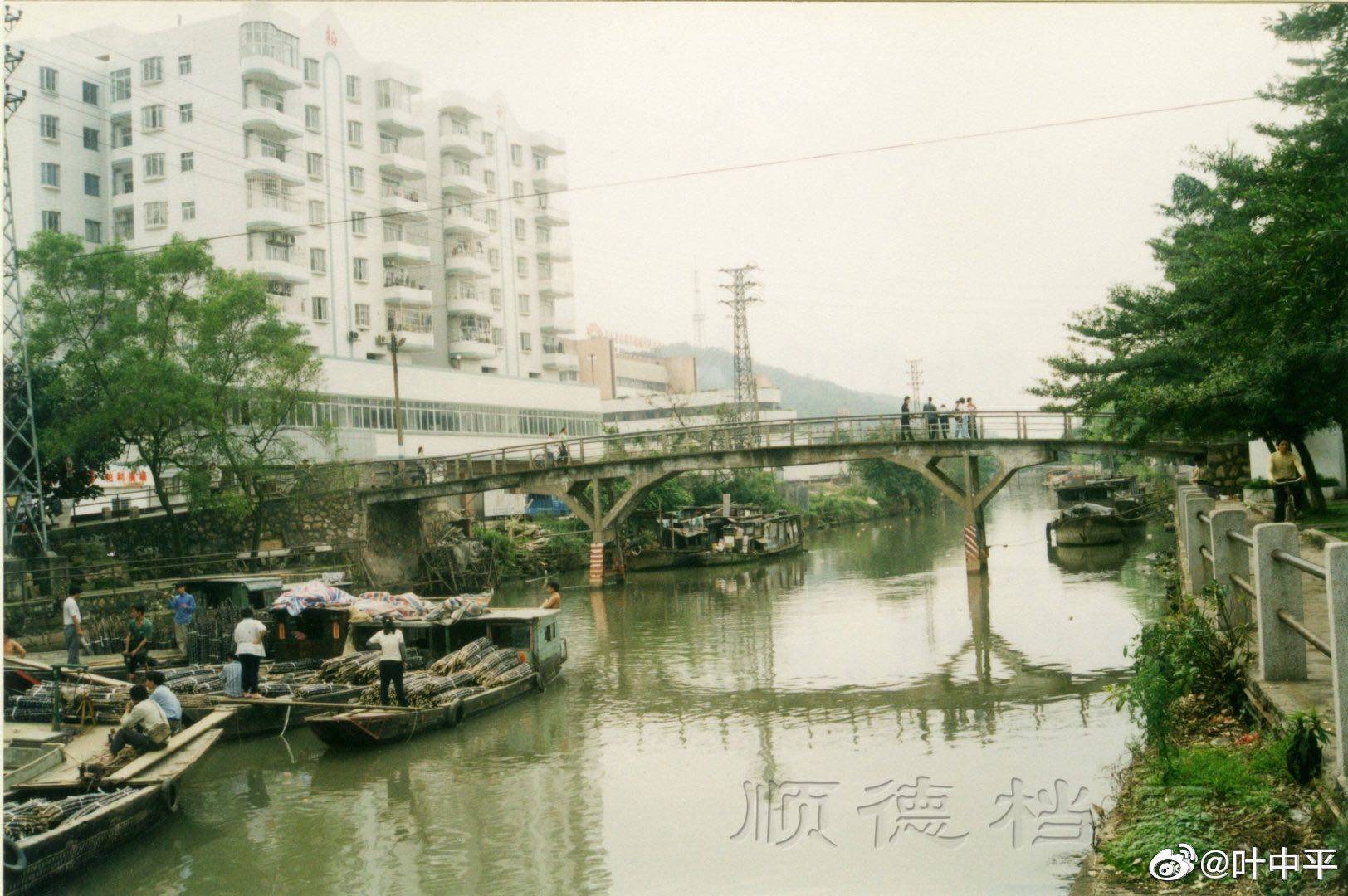 我的顺德记忆|大良河旁话古今