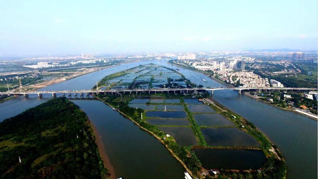 顺德大汕岛，其实是一片自然形成的沙田！