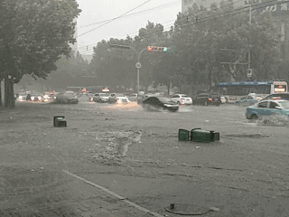 顺德历史上这些强风暴雨才是真的猛！