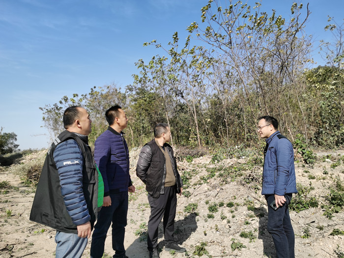 陈村：抓严抓实岁末年初山林防火安全