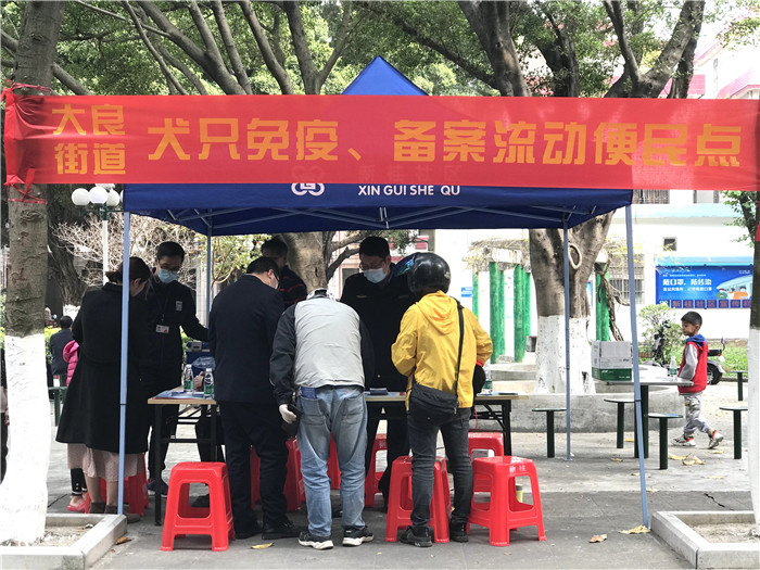 文明养犬宣传进社区，大良综合执法办在行动