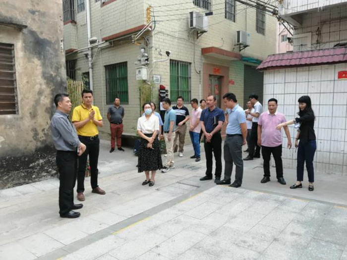 品质之城 你我共建|北滘：发挥人大监督作用 推动城乡品质提升