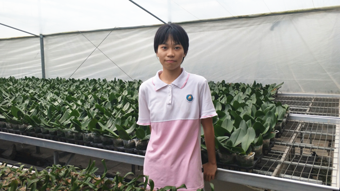 中考放榜|陈村青云初级中学周伶：带着疑问学习，勤奋也讲究方法
