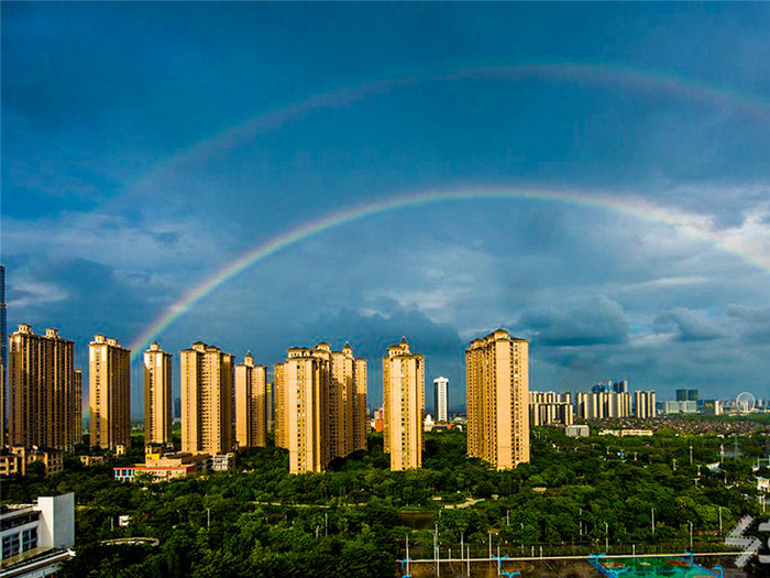 壹周美图：八月的顺德，依然绚丽多彩！