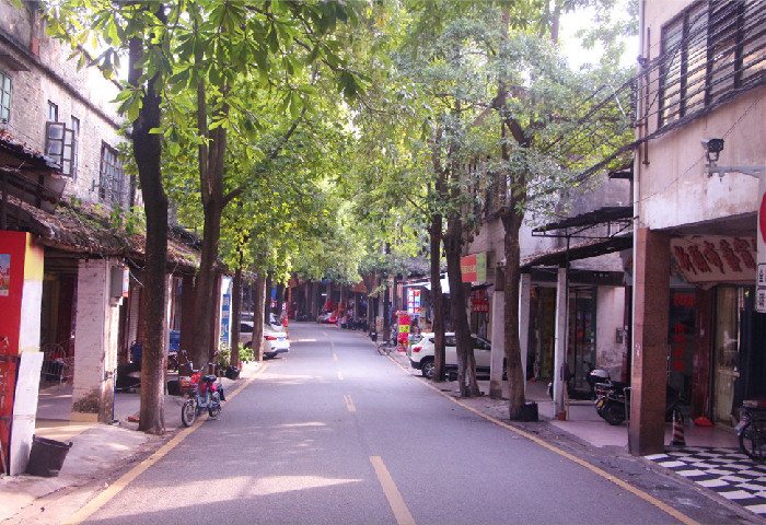 右眼新闻：民族路，一条有故事的街