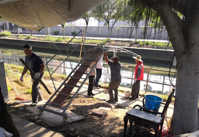 “清”出均安气势，发力整治违法建筑