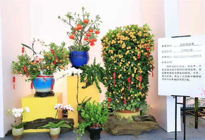 show出才艺，擦亮顺德“国家地理标志产品”品牌