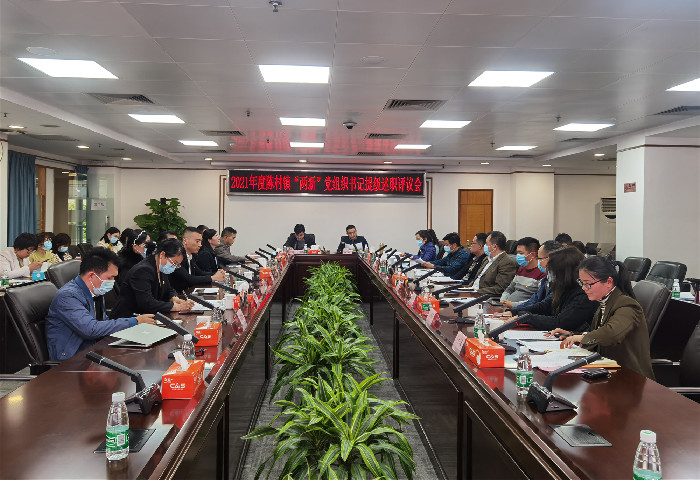 陈村召开“两新”党组织书记述职评审会