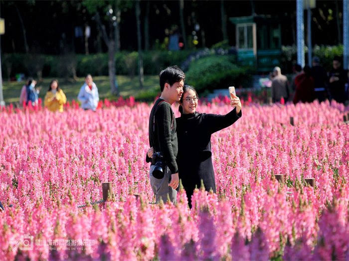 壹周美图：在顺德，遇见花开、暖阳与你