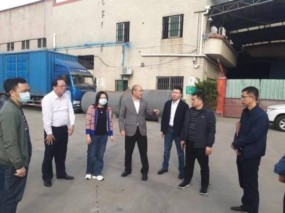 杏坛：坚持党建引领，推进人居环境提升