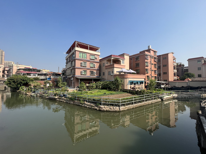 巡察推动清理积案，助力顺德实现水清岸绿