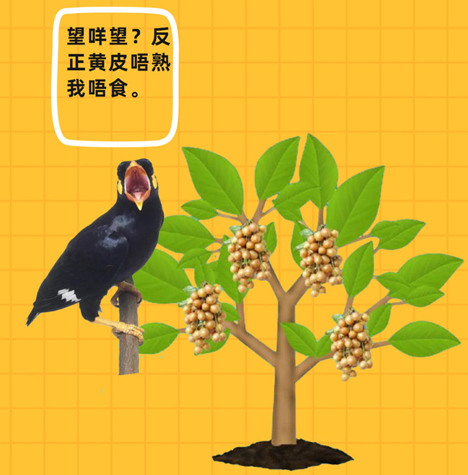 这些美食中的粤语歇后语，你造吗？！