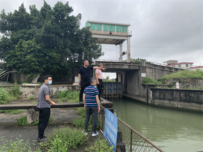 大良：多领域巡查，全力以赴防御强降雨