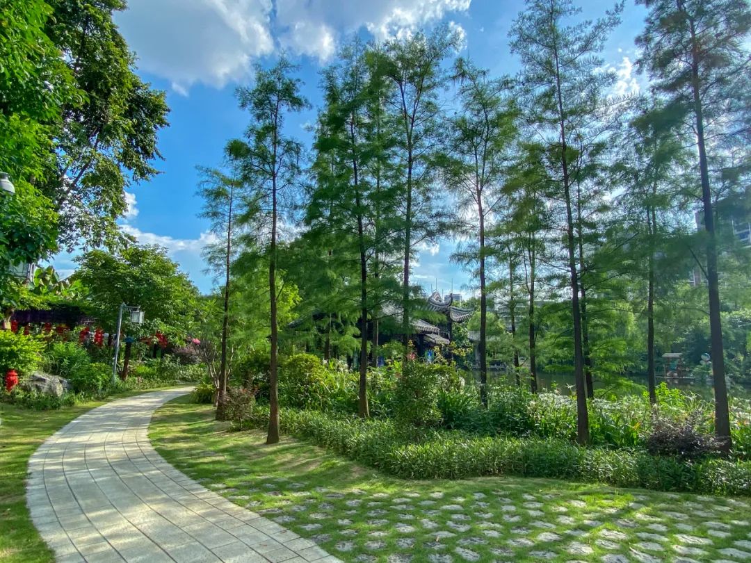 夏日的和园美得一塌糊涂！快将美好的夏天拥入怀~