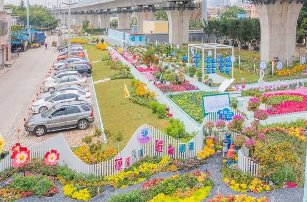 远近闻名的“狗仔鸭”竟然出自陈村这里