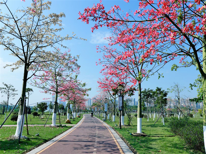 壹周美图：花开有期 未来可期