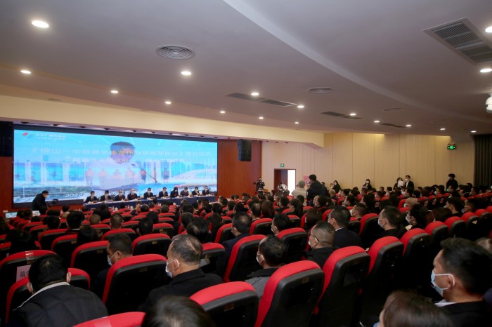 发挥八大优势，聚力八大行动！乐从奋力建设北部都会中心