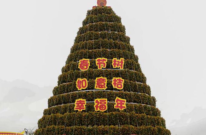 “唔行花街唔算过年”！顺德街坊们花市走起！