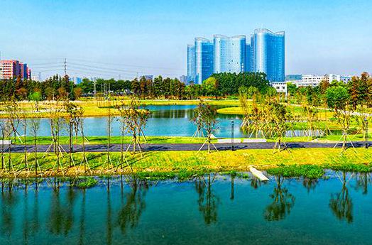 出门即公园、处处皆风景，“沉浸式”体验容桂小美好