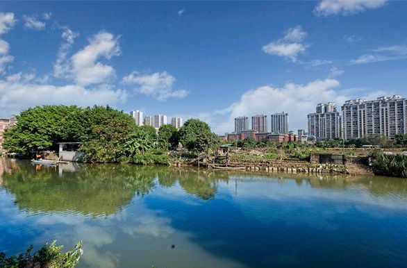  最美校园、山水连城……龙江去年佳绩连连
