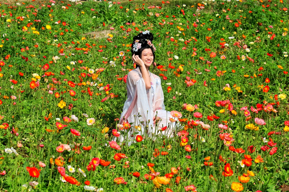 对面的女孩看过来，北滘这片花海超出片！
