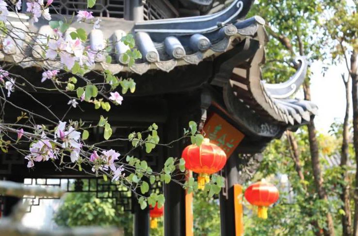 趁着春光，来和园追寻早春的脚步~