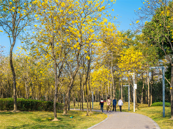 壹周美图：踏春赏花，其乐融融