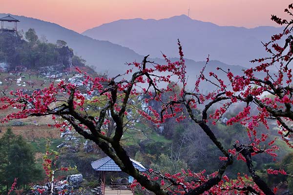 三月桃花开，春天按时来！