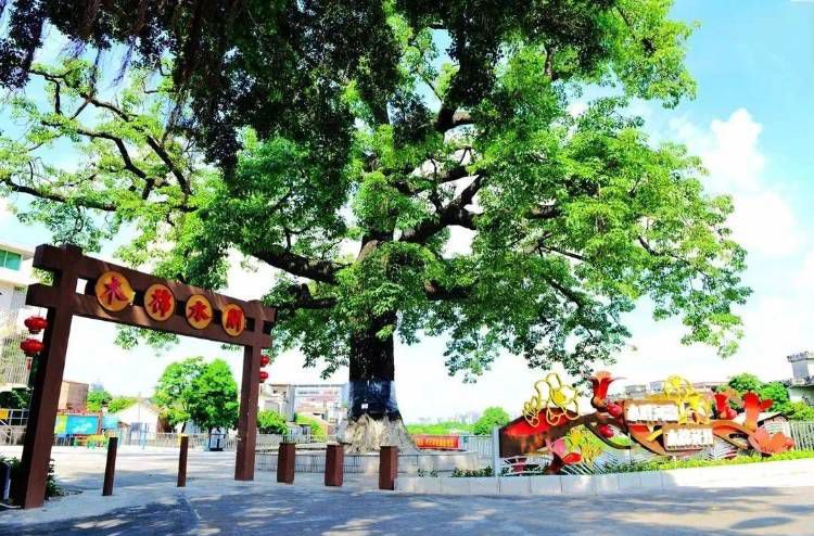 ＂看见·新滘＂摄影作品征集赛还有2天，快来投稿吧！
