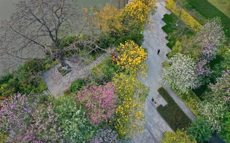 春风绕转，繁花似锦