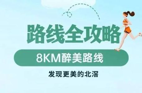 听音乐会、看展、体育活动…北滘精彩活动承包你的周末！