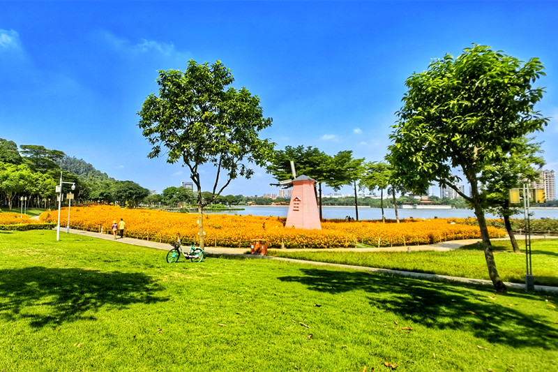 顺峰山公园的夏日画卷，美如斯！