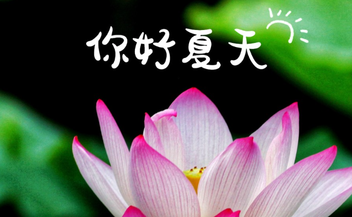 哇，是顺德夏天吖~