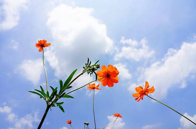 夏日氛围感天空，顺德承包了！