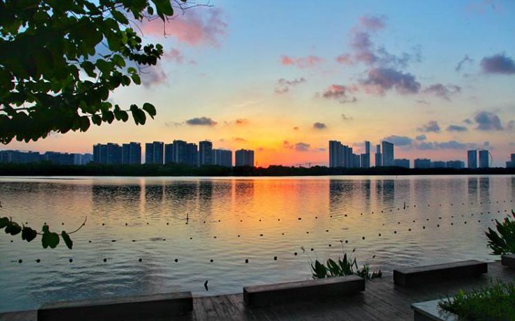 张张屏保！送你顺德桂畔湖绝美日出大片→