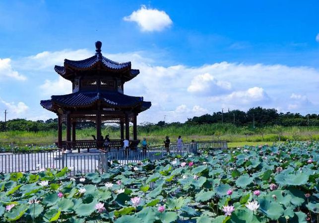 南方医科大学顺德校区：独具岭南风情