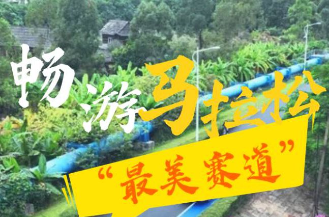 至IN顺德|一站式打卡！畅游容桂环岛马拉松“最美赛道”