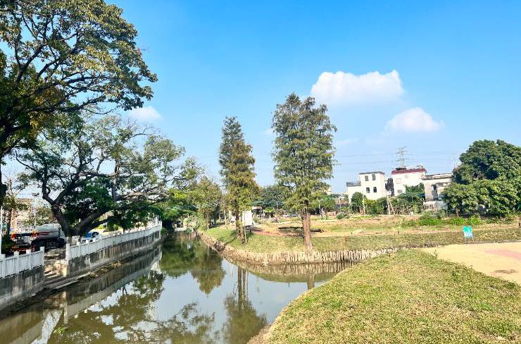 华丽蜕变！杏坛吉祐村礼村涌美岸项目投入使用