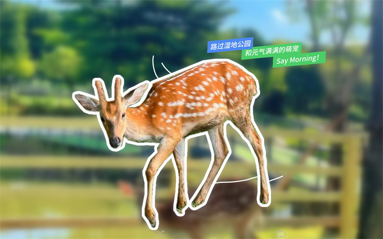 百千万新“镇”地 | 2023年的乐从，“潮”在了我的心巴上
