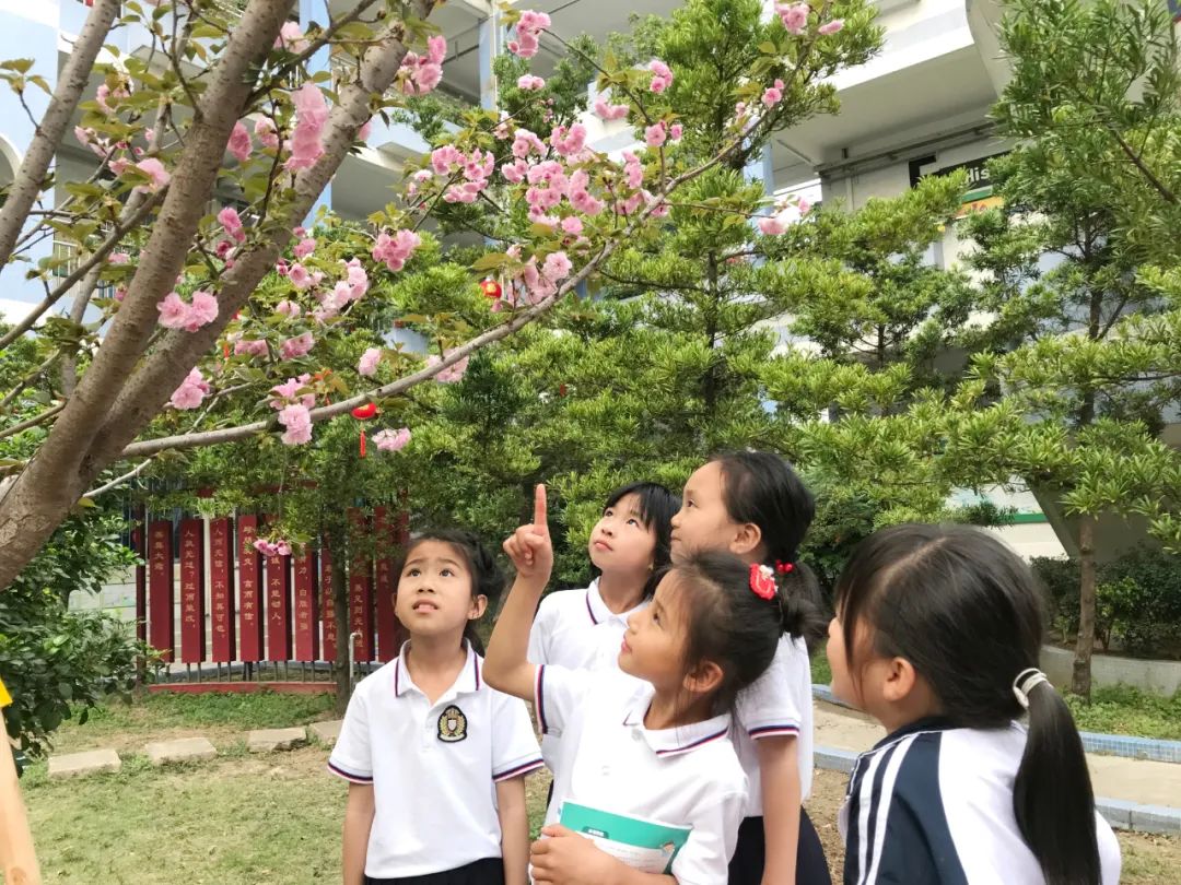 共赴教育盛宴！林头小学开放日活力满满