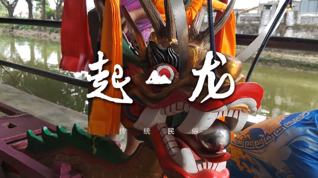 起龙！杏坛开始进入“龙舟时间”→