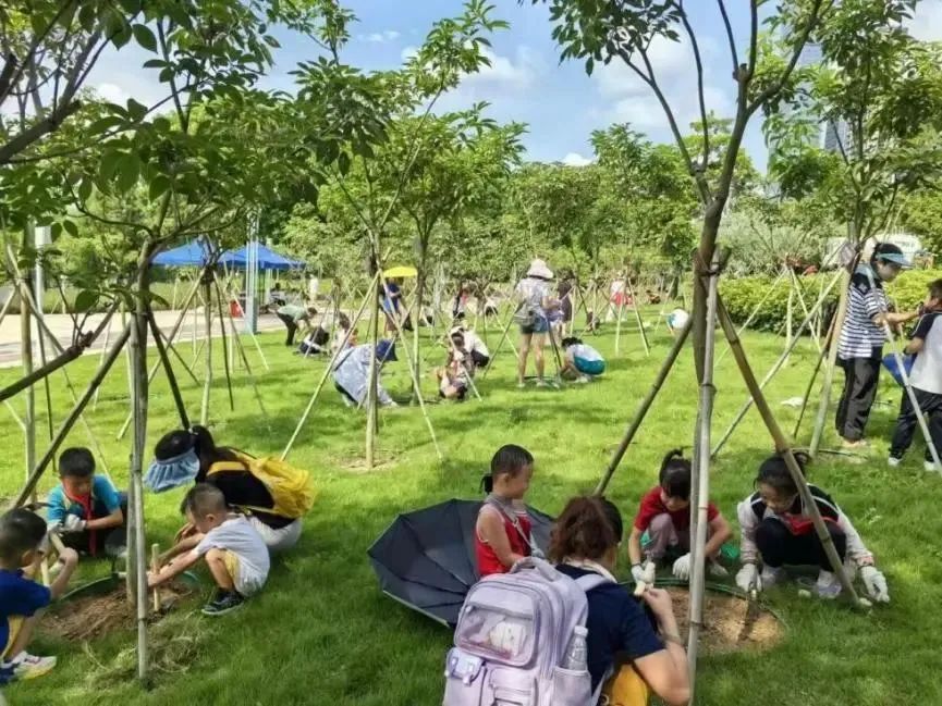 德和社区绿绘未来：“百千万工程” 展现顺德生态绿色新颜