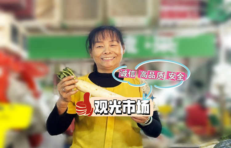 一路向北·遇见最美|转型大潮中，观光市场的“生存智慧”
