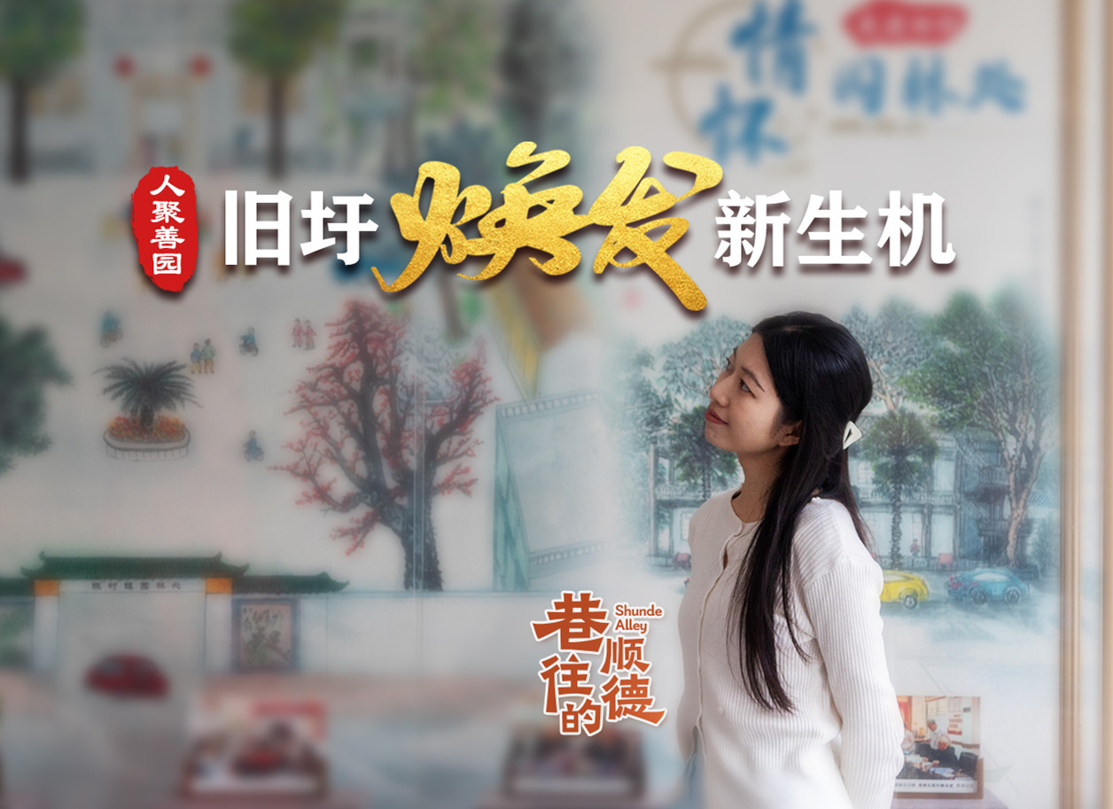 巷往的顺德④|陈村旧圩：人聚善园，焕发新生机
