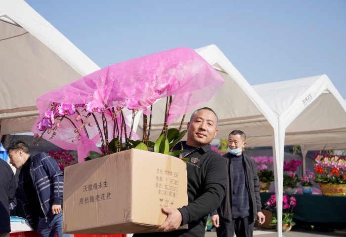 顺德高新区花市开幕！美食、年货齐聚，等你来嗨